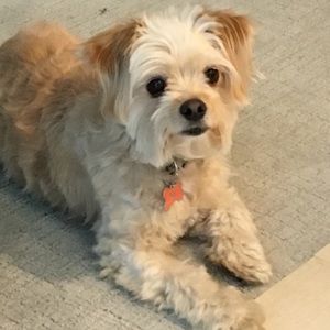 Meet your Posher, Richard